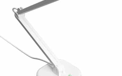 Test du visualiseur INSWAN INS-2 : 4K Ultra HD et autofocus