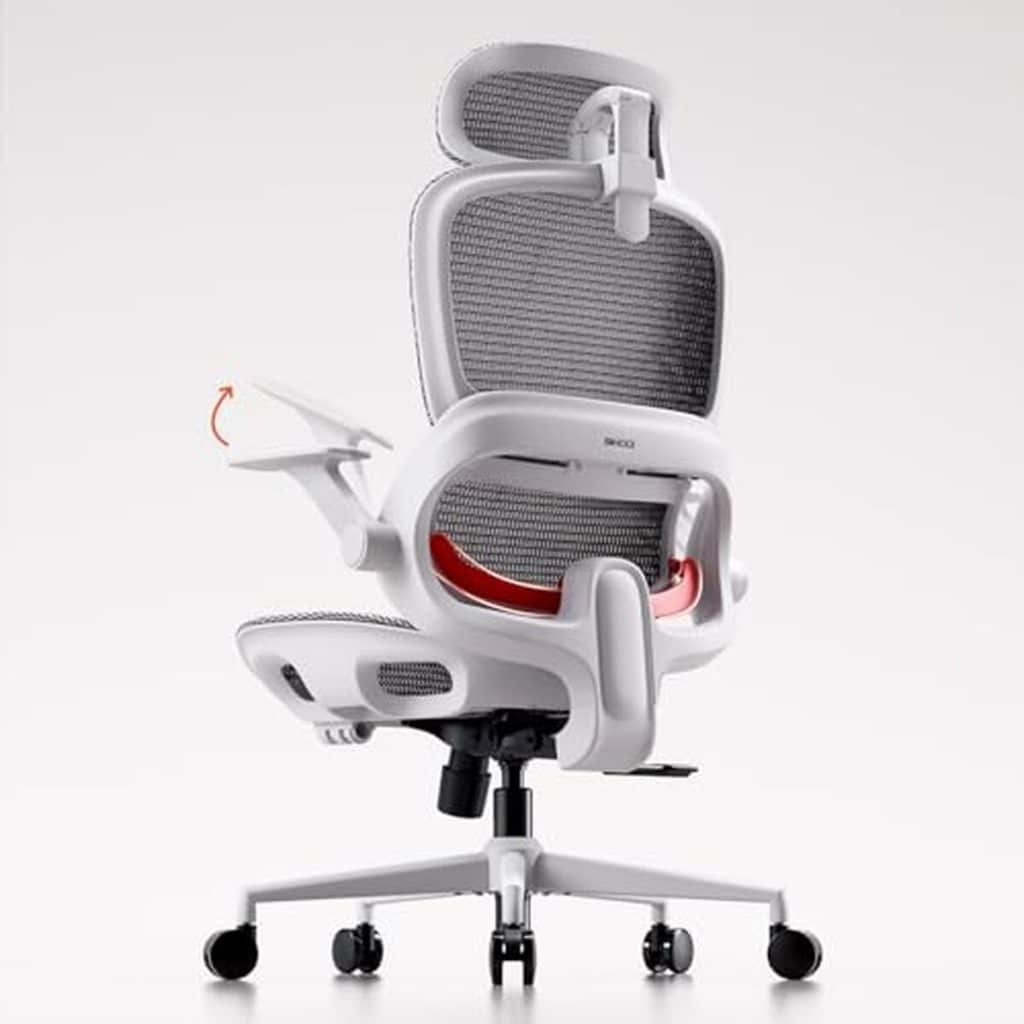 Test : chaise de bureau ergonomique SIHOO B100 avec support lombaire