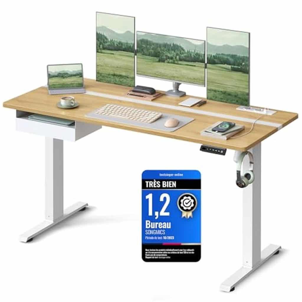 Test du bureau électrique réglable vasagle LSD114N01