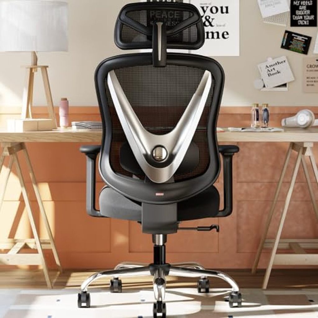 Test de la chaise de bureau HOLLUDLE ergonomique à support lombaire 3D